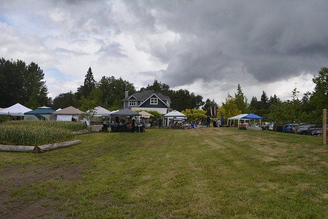 A wide view of the festival grounds and gathering