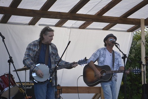 Two musicians performing with string instruments at a past Living Well Festival